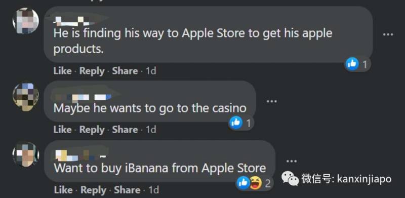 “俺老孙”闲逛滨海湾,忧郁坐在河畔,想念自己的花果山