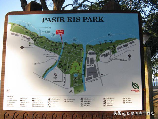 下月起，可以飞去新加坡旅游了。这些冷门免费地方值得一去