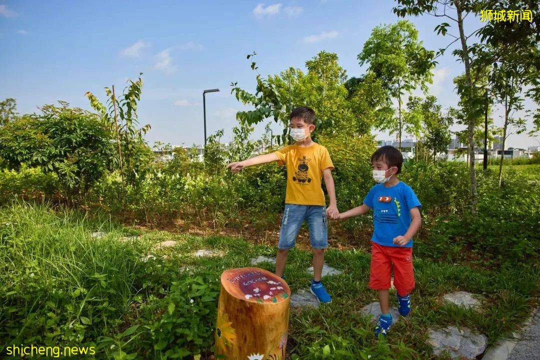 新加坡武吉甘柏公園開幕，蝴蝶園、遛狗場、山丘步道，登高遠眺好去處