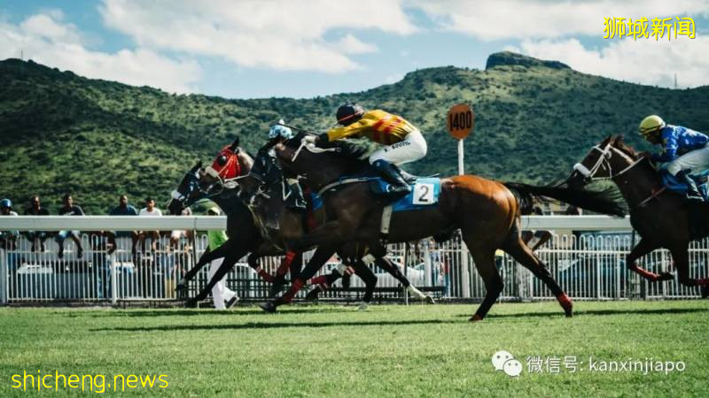 即日起，新加坡赛马和体育投注活动可恢复