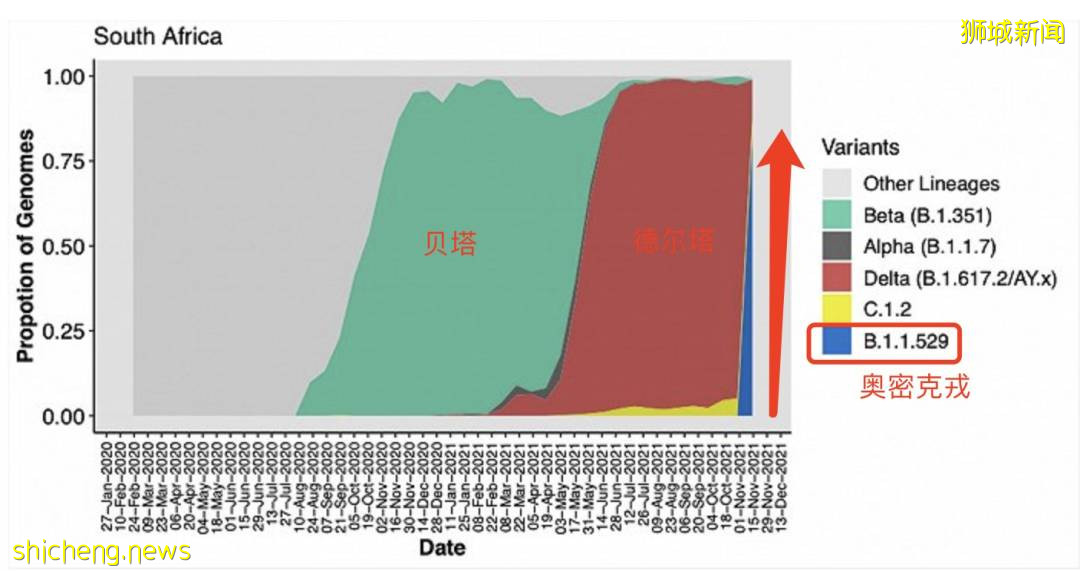 揭秘超强新病毒!疑“新冠+艾滋”形成,年轻人中快速传播!新加坡卫生部长回应