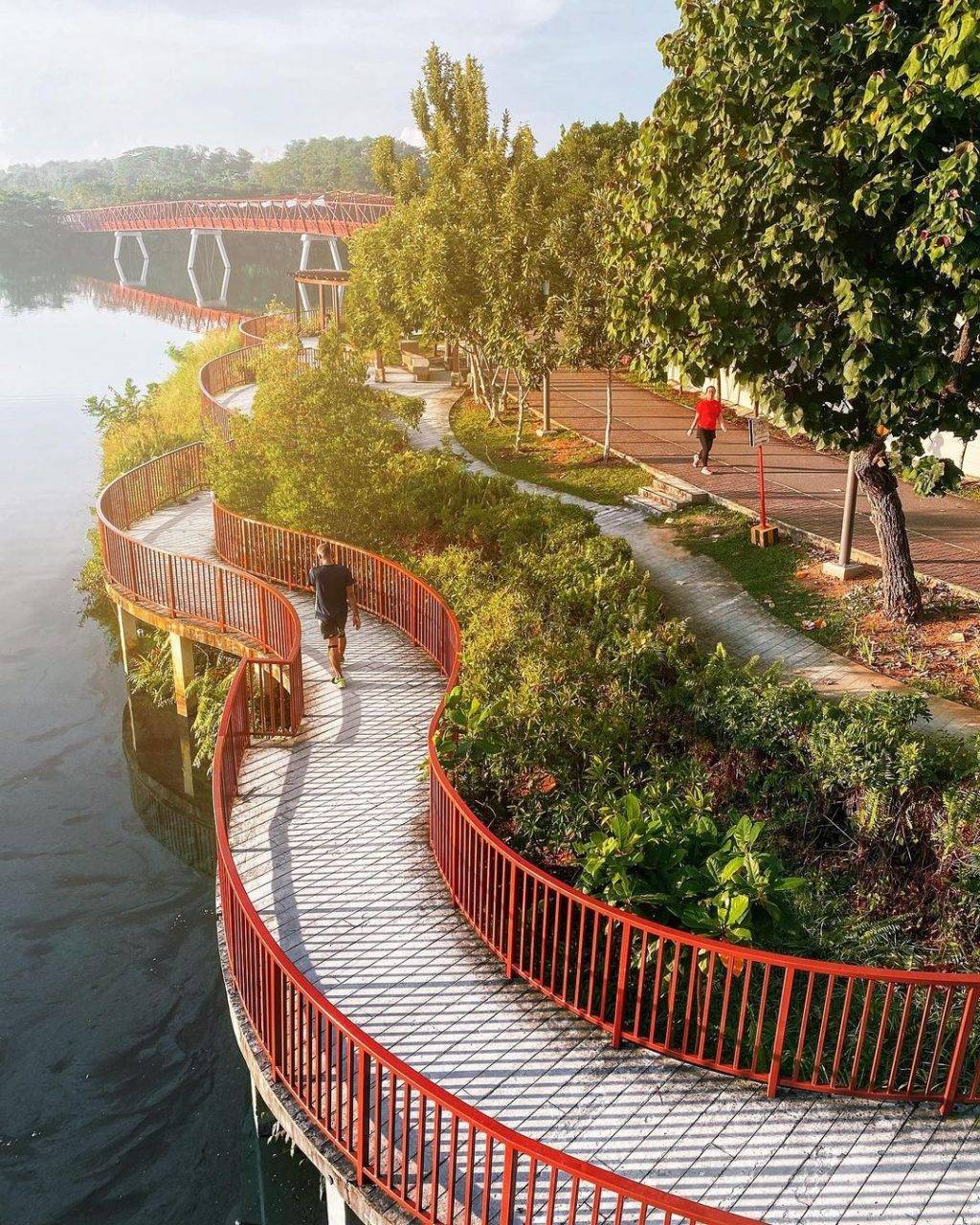 新加坡榜鵝花式玩法😎 貨櫃、海島、公園、濕地、釣蝦場玩起來！全新遊玩攻略收起來💪🏻