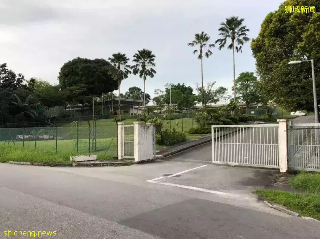 耗时6个月,隔离30天,我的宝贝终于来新加坡跟我团聚了