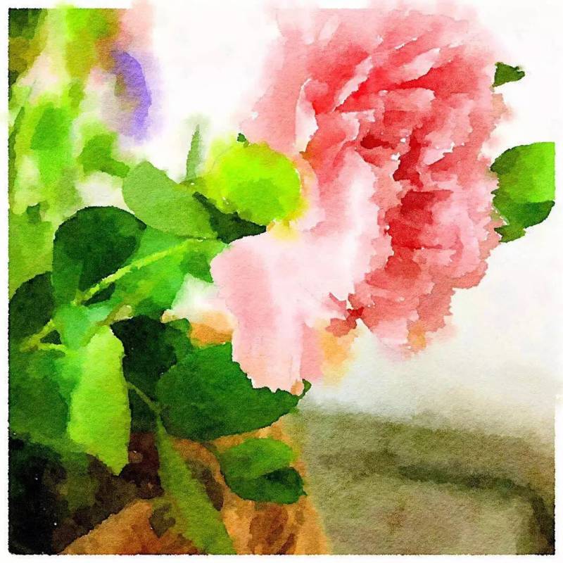 失去的孩子、申領不到的新加坡身份，始終是內心最大的痛