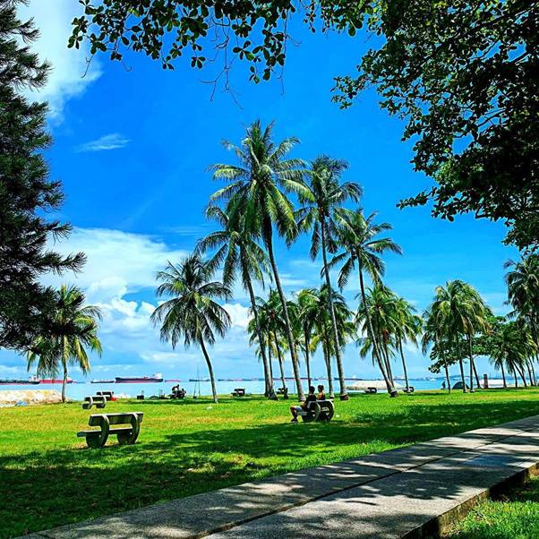 周末宅家太無聊？新加坡的這些熱門露營地你一定得知道