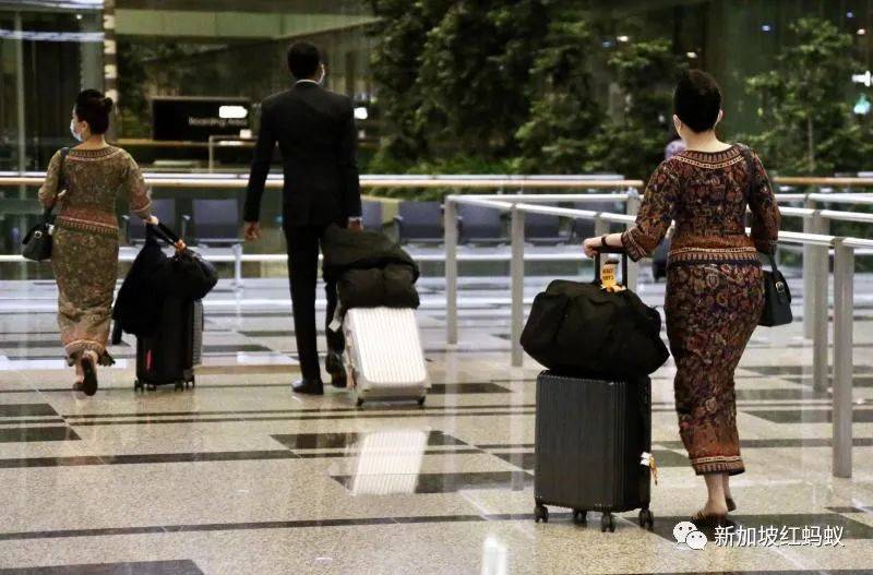 “新航出品，必屬佳品”？　新加坡企業搶聘遭裁新航員工