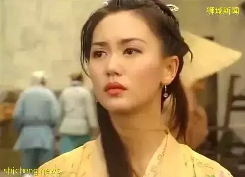 九十年代新加坡電視劇中美女如雲,如今她們境遇如何