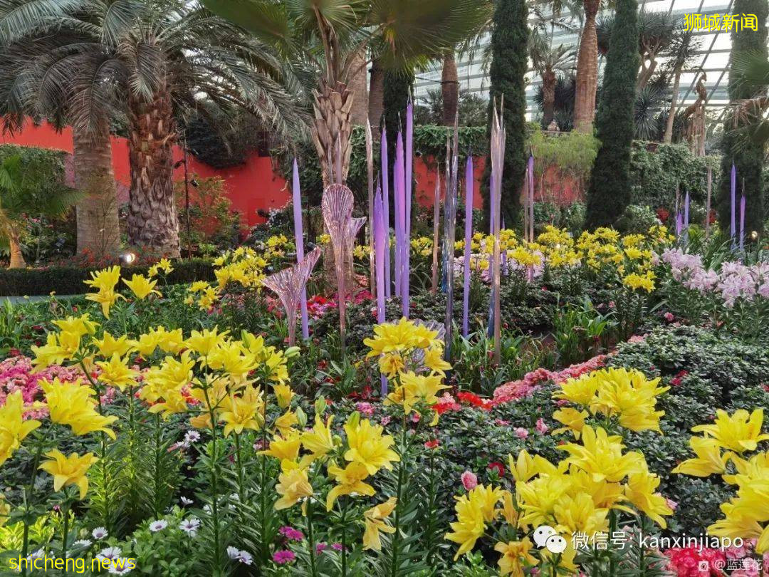 穿越魔幻国度！巨型玻璃艺术品出现在滨海湾