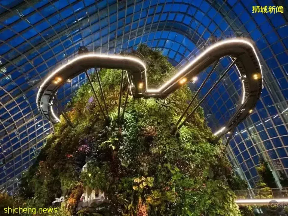 新加坡 放慢腳步，體驗獅城百態