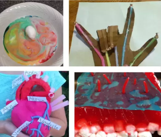 新加坡创新科学课!开启科学思维