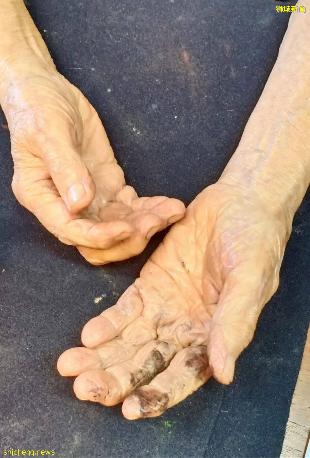 平淡天真的艺术家：林子平