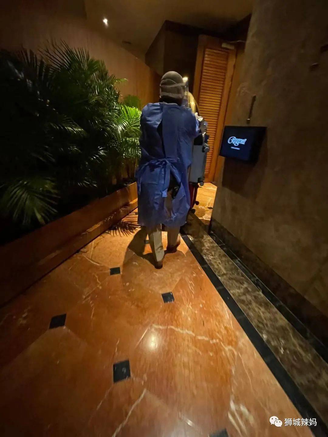 去迪拜旅游回新加坡!我的航班邻座确诊了,卫生部连环夺命Call!48小时我经历了什么