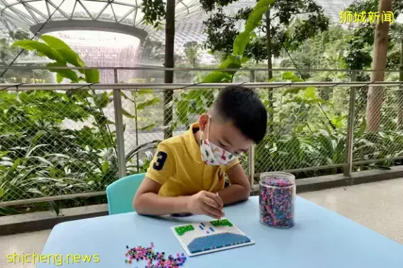 爆火的机场1夜露营又来啦！仅$78还送河川动物园门票