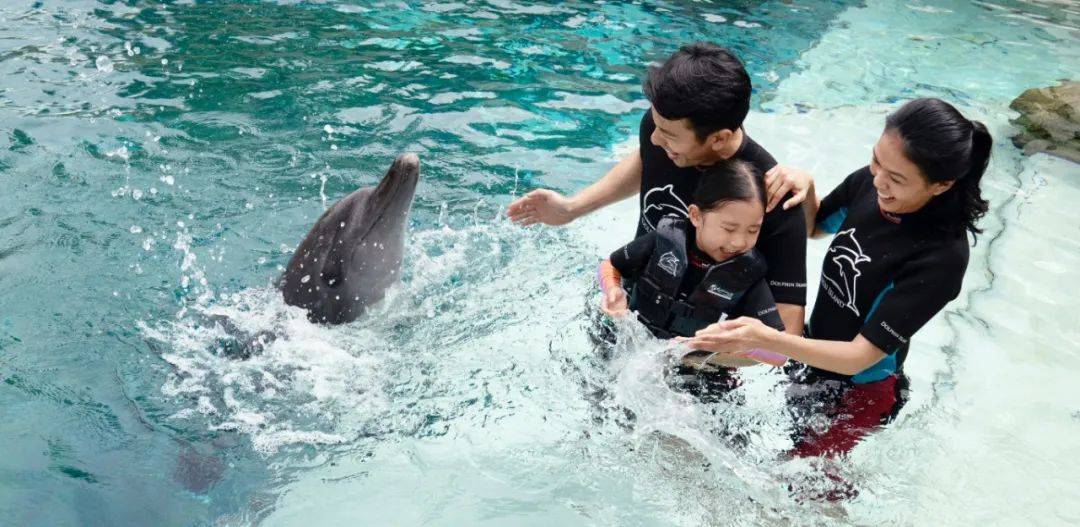 新加坡80%人還沒用旅遊消費券，6月30日到期！推薦這20個活動