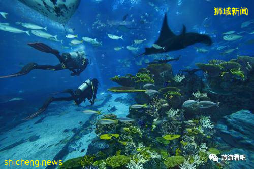 旅遊攻略：新加坡