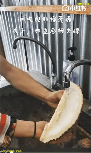 賭王千裏專機空運的榴梿,獅城的你動動手指就可以送到家啦!