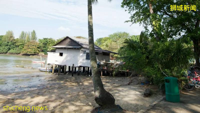 新加坡の十件趣闻，你知道吗