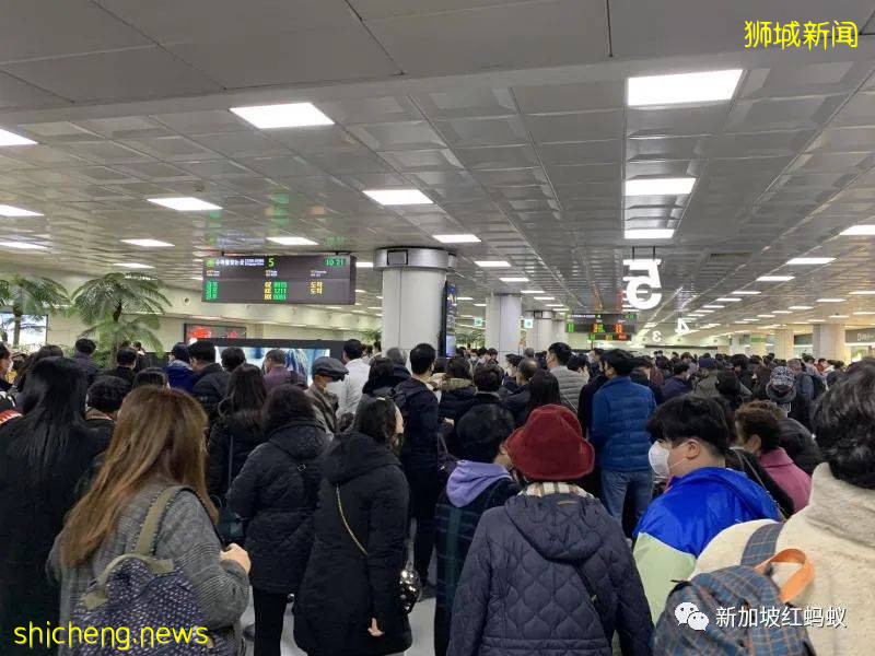 欧洲和韩国再度拉响疫情警报 新加坡人出国旅游的意愿还高吗