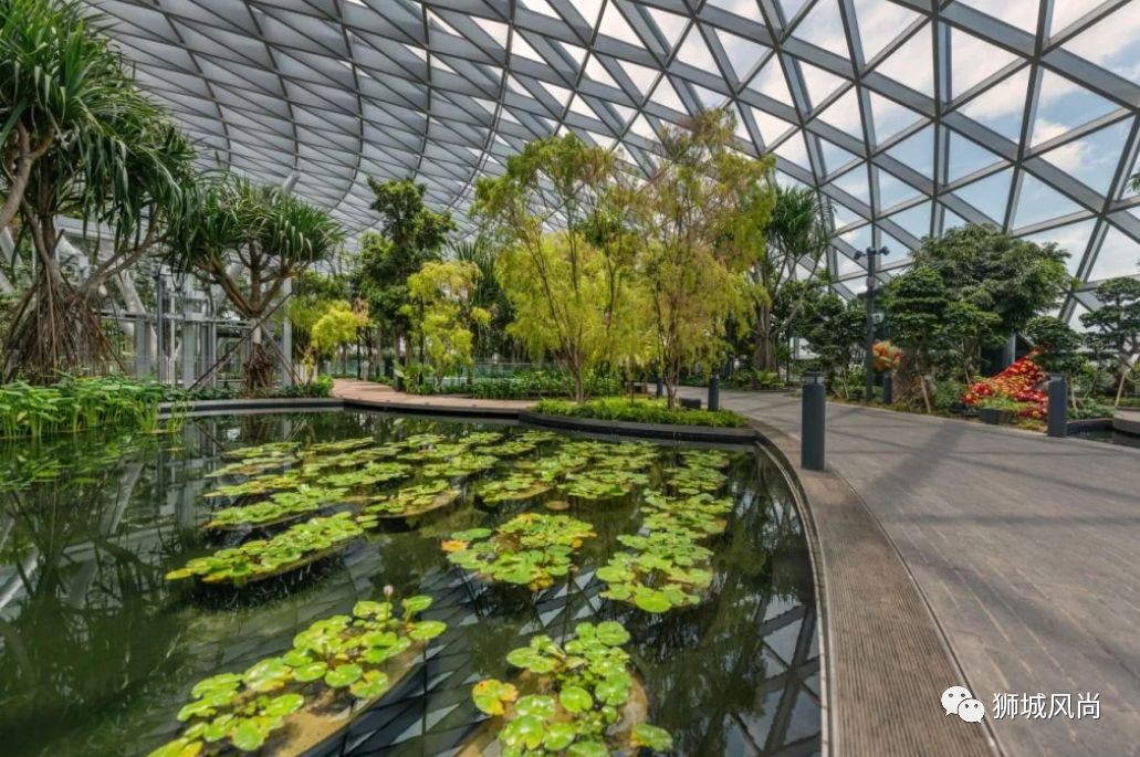 Jewel now offers free entry to canopy park from now till 31 Mar