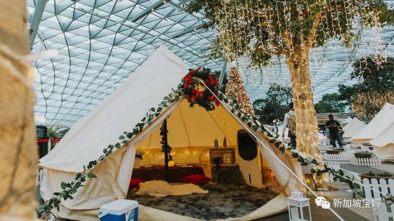 年末就是要狂歡！2020年最後一個月，還能帶娃在新加坡做點啥