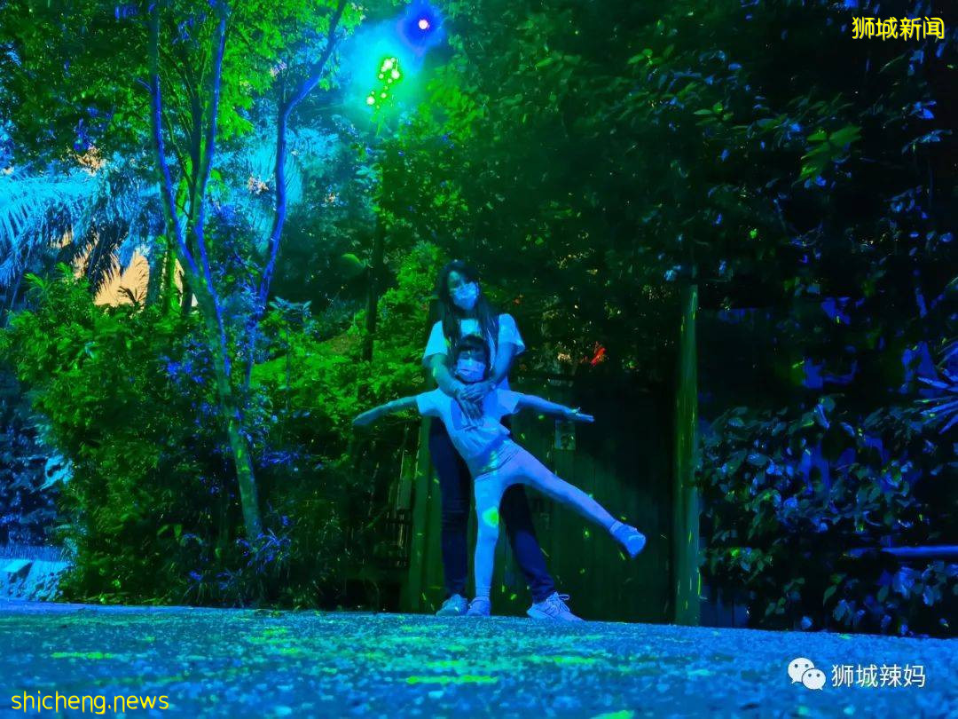 低至S$8！就3天！新加坡動物園“幻光雨林之夜”強勢回歸，亞洲第一夜遊體驗