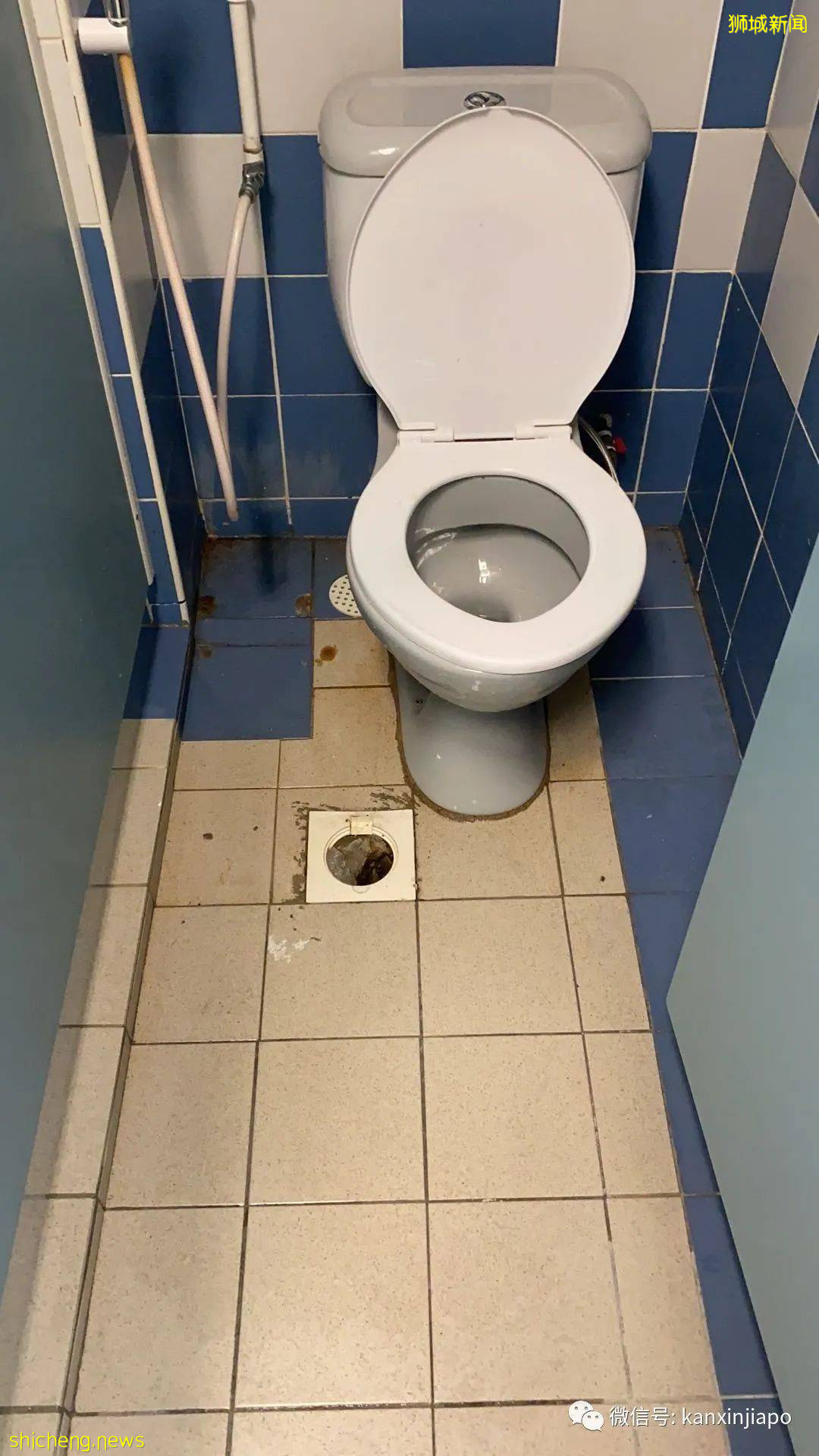 网友爆料社区护理中心:“一个房间住了10个感染者是什么概念?”