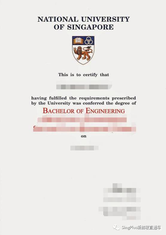 中国学生拿假文凭骗父母拿高薪?且看新加坡和中国如何打假
