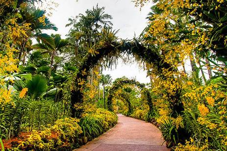 漫游狮城 收藏!新加坡十大必打卡景点