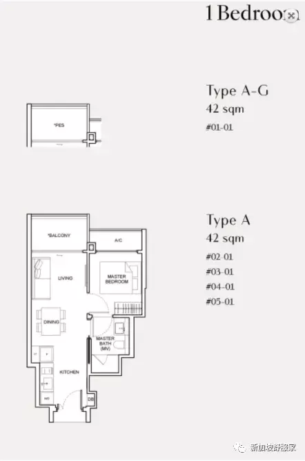 新加坡萊佛士女小“天才班”學區詳解