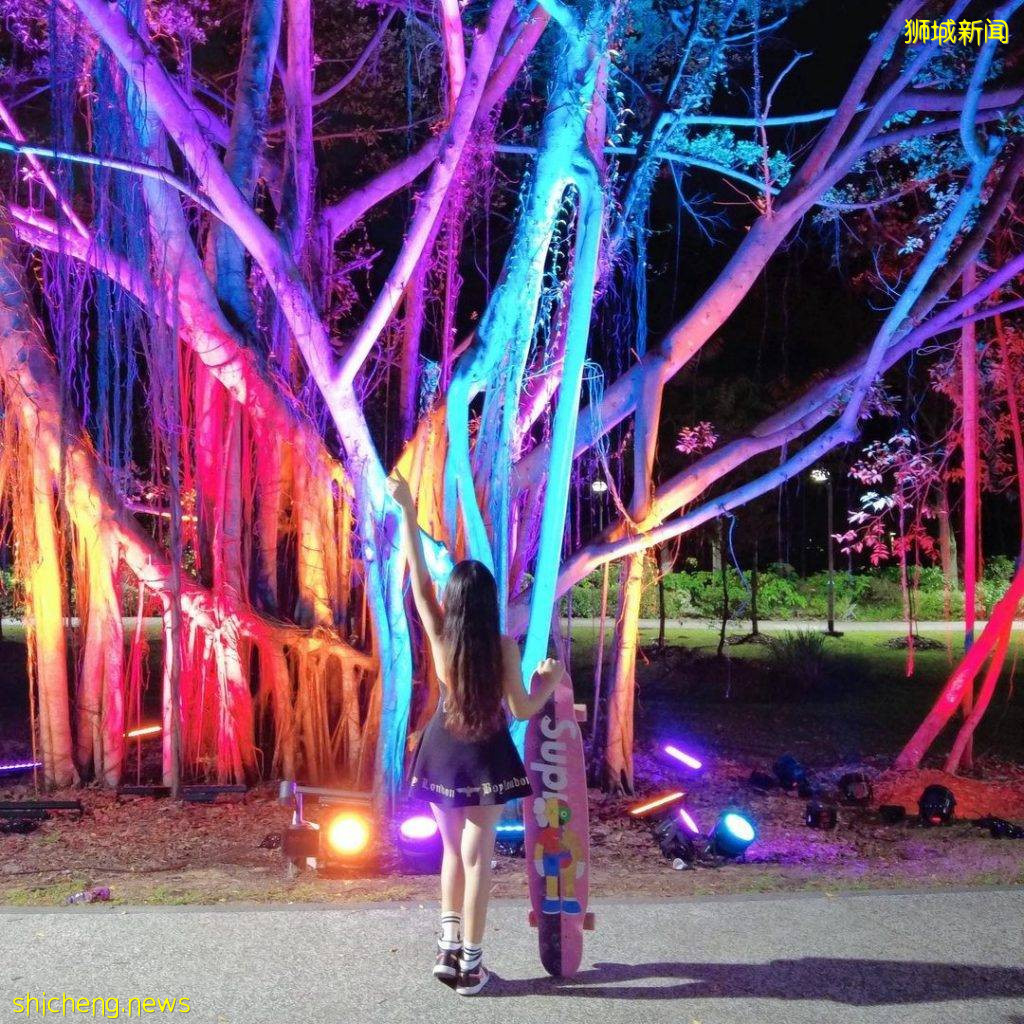 夜太美！Jurong Lake Gardens中秋灯饰、展览至10月3日🏮鲨鱼八爪鱼灯笼、呆萌可爱🐙 