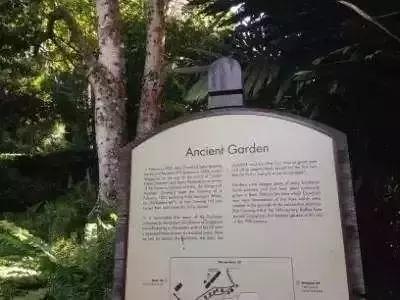 涨知识!新加坡商务出差或旅游,这20条冷知识你应该了解!收藏