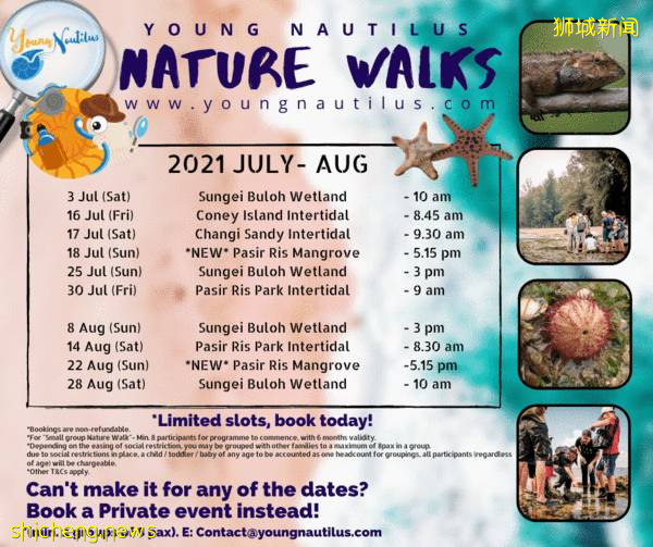 【國慶3天去哪​】麻辣小龍蝦免費送！9大燈光秀，楊國福半價，國慶200張電子優惠券