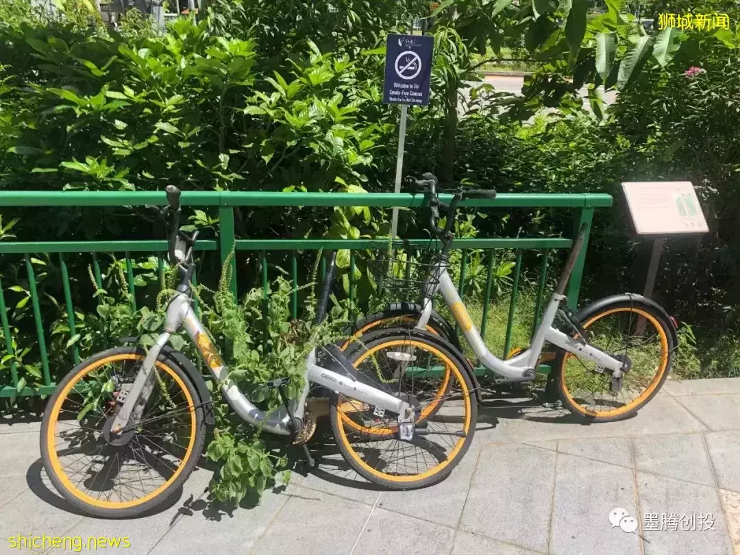 哈啰进军新加坡,搅局已被遗忘的共享单车市场