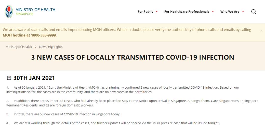 年后要回新加坡了？攻略提前拿好