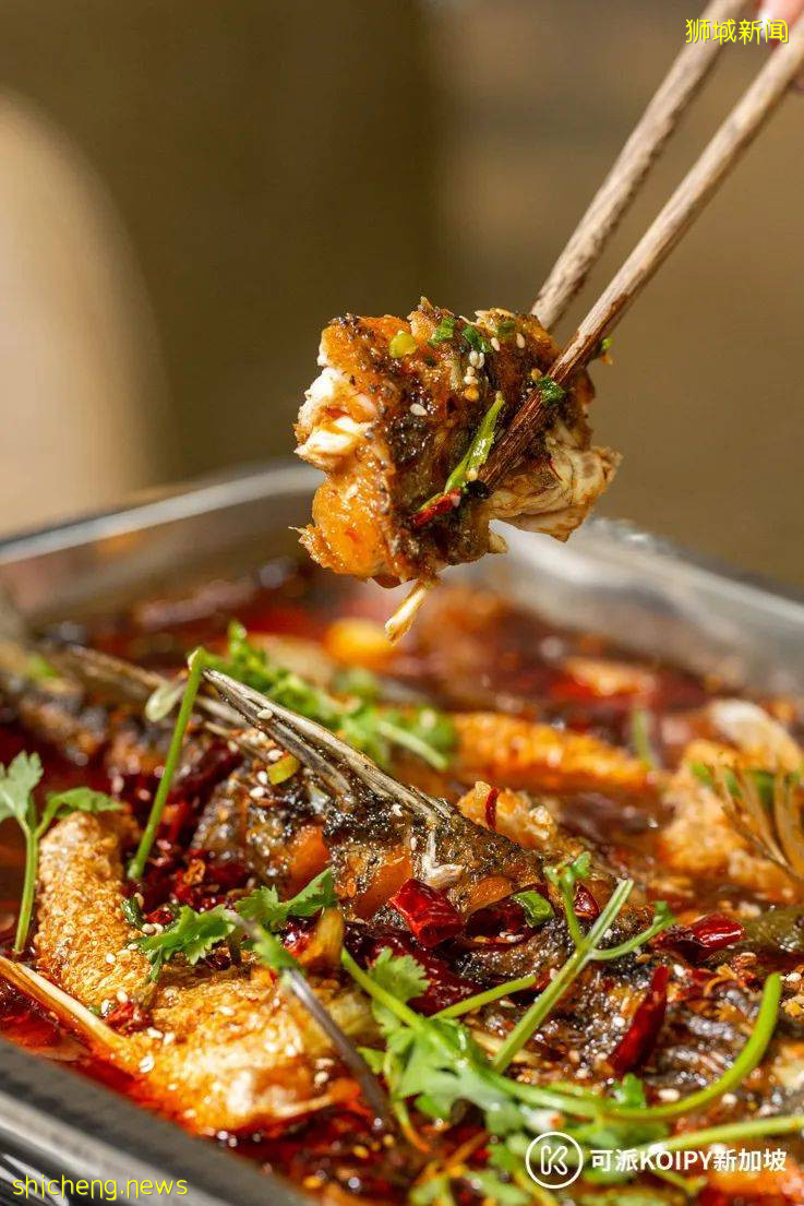 维也纳自助餐新开分店,锦鲤自助火锅火爆上线