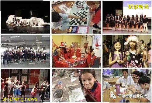 新加坡加拿大國際學校,承包了國際IB課程和王牌雙語項目