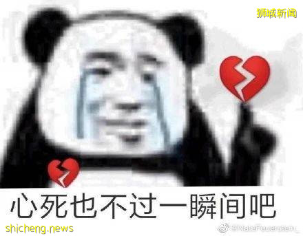 啊這，從新加坡回中國怎麽這麽難