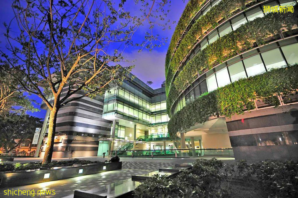 新加坡管理招生最新通知!!2022/23学年本科招生启动