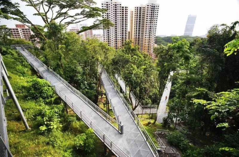 减肥！一起打卡新加坡这些超棒的运动地点吧