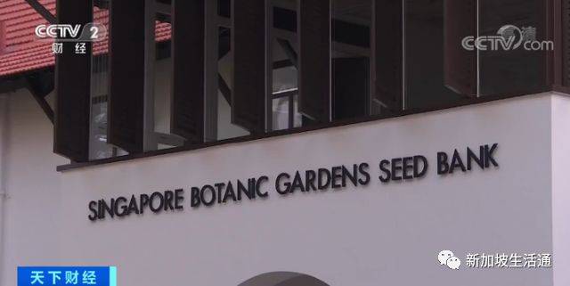 保护植物有新招！新加坡建立“种子银行”，可储存半数东南亚植物品种