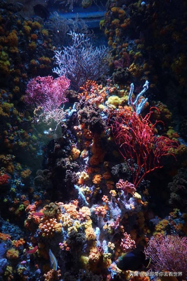 新加坡不枉此行的10大看點（中）分三集介紹