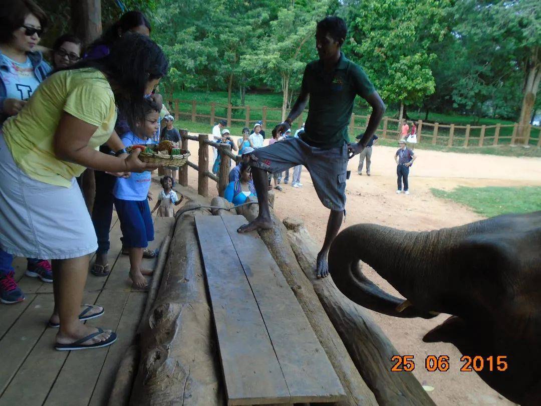 这位新加坡自闭症男孩,一动手就感动了全世界,预测这会刷爆朋友圈