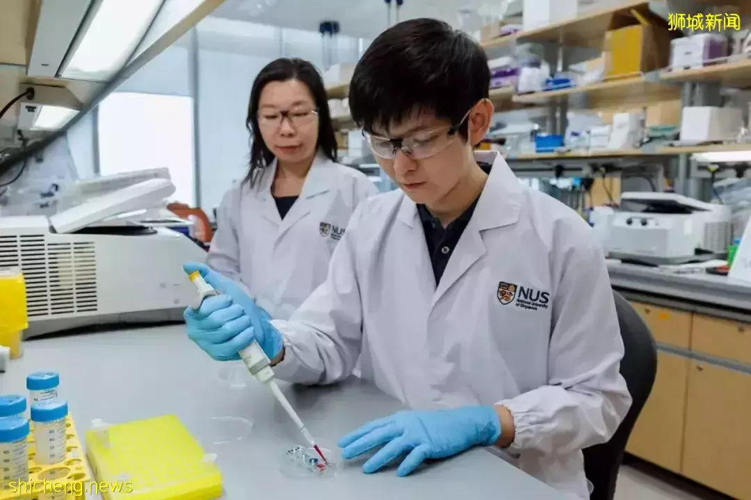 加入 NUS “校长青年教授”计划,成为超酷的学者