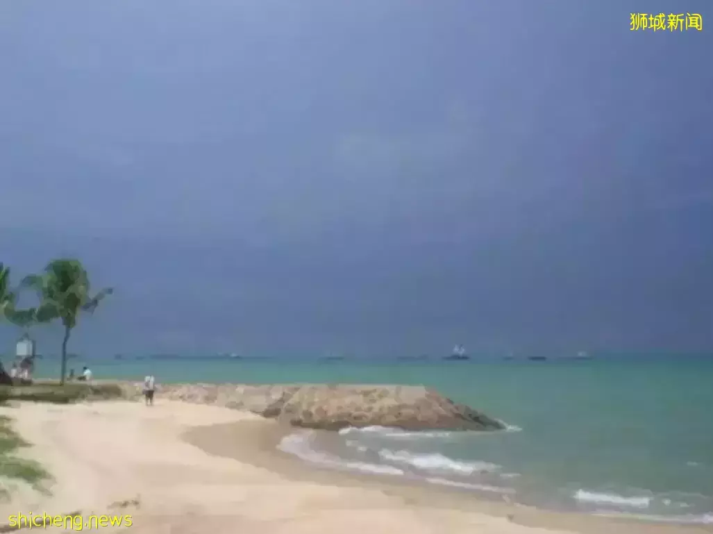 新加坡最任性老板!头手失恋分手那就闭店暂停营业