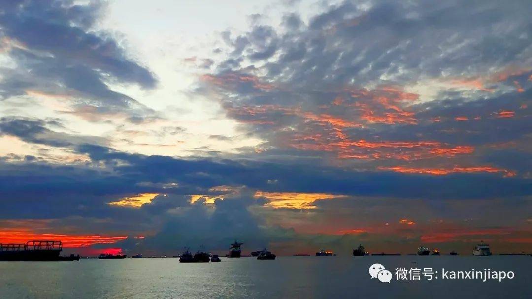 新加坡清晨出現粉紫色“神仙”天空!大波美圖驚豔全島
