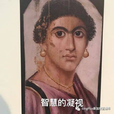 《新加坡高校留学生图鉴》