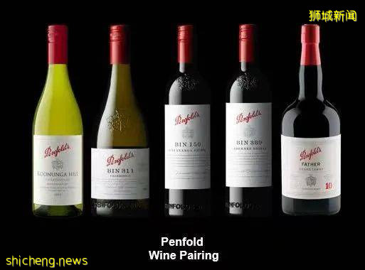 在新加坡野生動物園來一場VIP營地晚宴是怎樣非凡的體驗