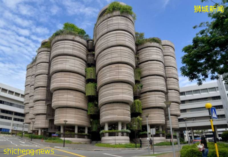 孫燕姿、林俊傑等新加坡名人集體炫“父”!