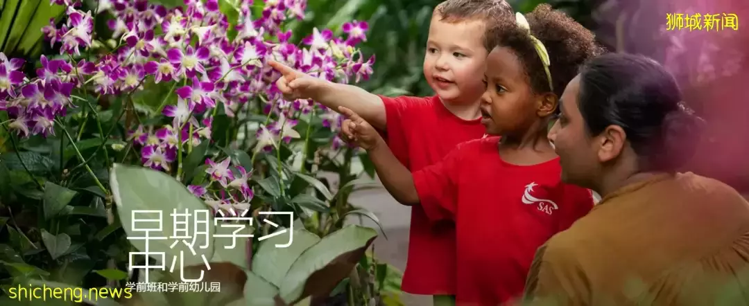 新加坡頂尖國際學校——美國國際學校,內附(申請條件、學費、學制)