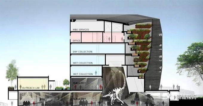 恐龍化石、抹香鯨骨架、初代巨星阿明……100W+動植物標本竟然藏在新加坡這個地方